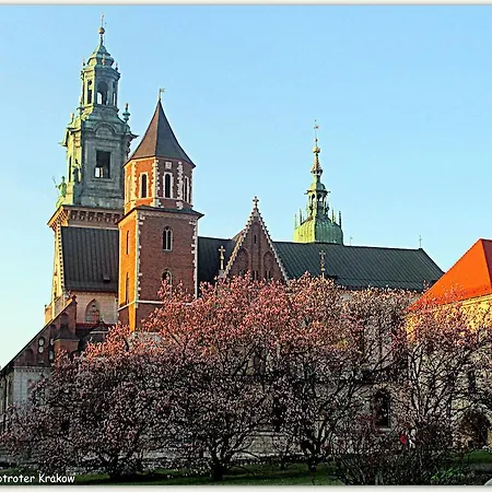 Hostel Globtroter Krakow