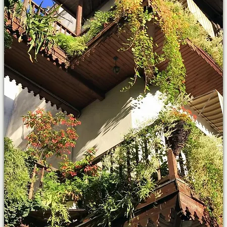 Hostel Globtroter *