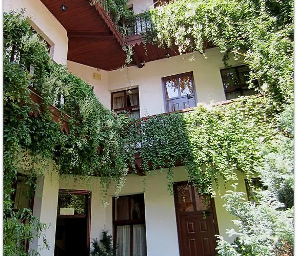 Hostel Globtroter Krasków