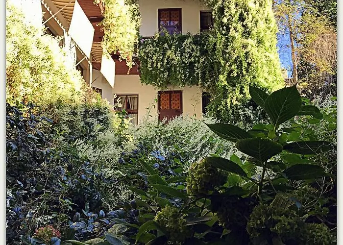 Globtroter Hostel Krasków