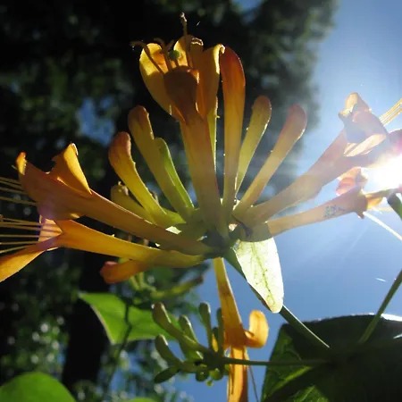 אכסניה Globtroter קרקוב