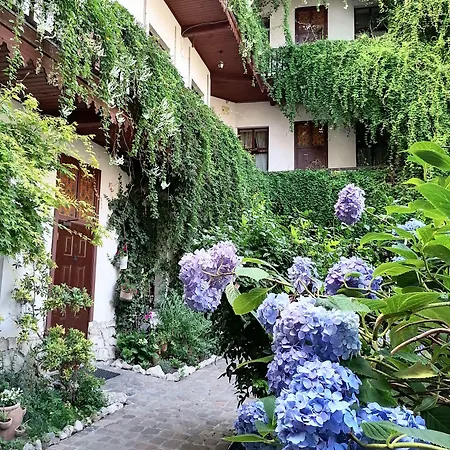 格罗布托特旅馆 旅馆 克拉科夫