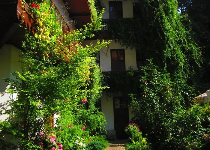 Globtroter Hostel Krakau