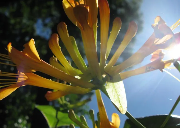 Hostel Globtroter Krakau