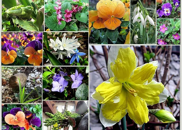 Globtroter 호스텔