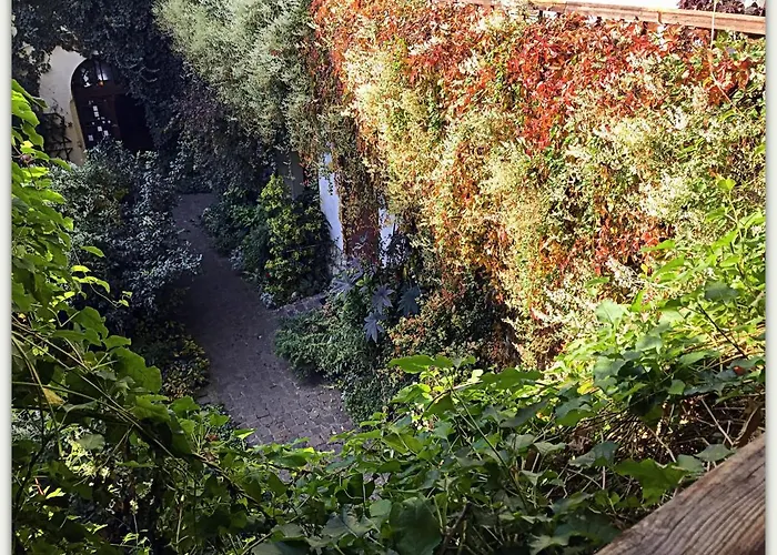 Globtroter 크라쿠프