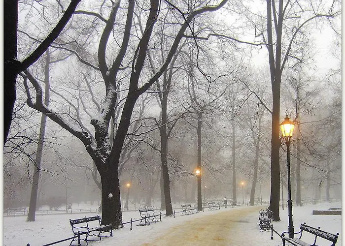 بيت شباب Globtroter كراكوفيا