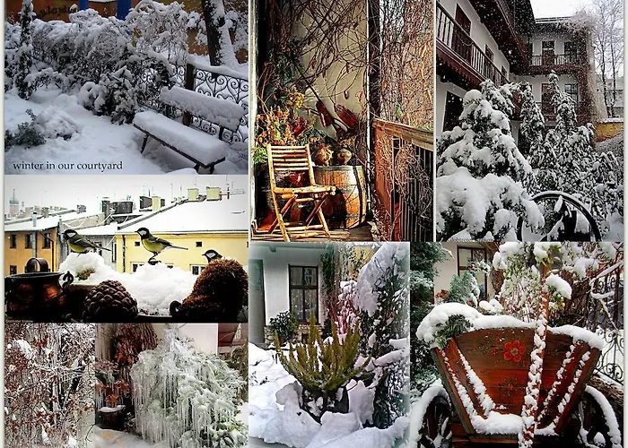 Globtroter بيت شباب