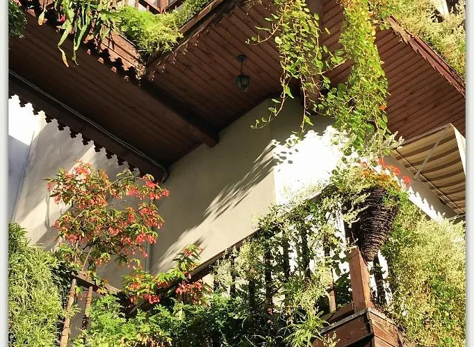 بيت شباب Globtroter *